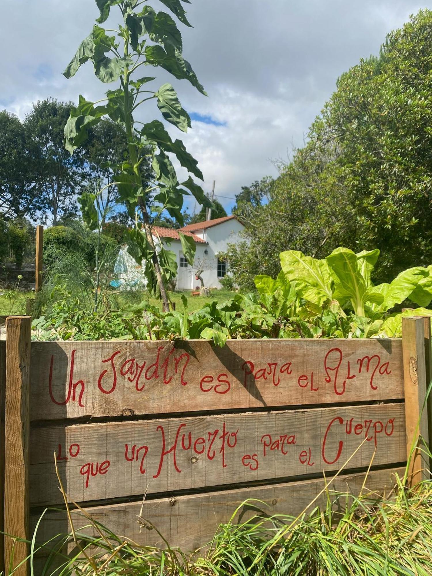 Casa Sanando Bed and Breakfast Covas  Buitenkant foto